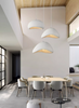 LAVOR Curved Pendant Light (Pre-order)