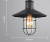 REX Caged Hanging Lamp (Pre-order)