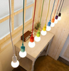 ASTRIKS Multi Colour Bulb Holder (Pre-order)