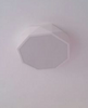 TEVA Octagon Jewel LED Ceiling Lamp in White (Pre-order)
