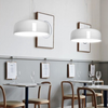 SMITHS Contemporary Ceiling Light (Pre-order)