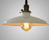 DELPHINUS Hanging Light (Pre-order)