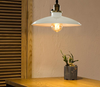 DELPHINUS Hanging Light (Pre-order)
