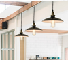 DELPHINUS Hanging Light (Pre-order)