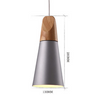 CONNELL Coned Woody Pendant Lamp (Pre-order)
