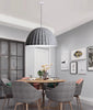 ICRUIS Dome Hanging Light (Pre-order)