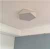 LEXA Geometric LED Ceiling Light in White (42cm) with Safety Mark LED Driver