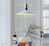 TROILUS Hanging Light (Pre-order)
