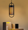 FJOR Mesh Cage Pendant Lamp (Pre-order)