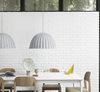 ICRUIS Dome Hanging Light (Pre-order)