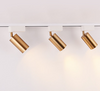 LED COB Lights in Gold (Pre-order)