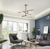 MERZINA Hanging Light (Pre-order)