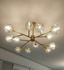 AURORA Crystal Chandelier Light (Pre-order)