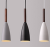 AVOLA Modern Hanging Light (Pre-order)