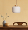 Lighting Singapore - SHINZO Glass Pendant Light 2