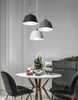 ANOVIDA Scandinavian Hanging Lamp (Pre-order)