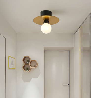 BRIVAAR Classic Ceiling Light (Pre-order)