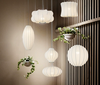 COLONY Lantern Pendant Light (Pre-order)