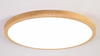 TANUKI Ultra Slim Ceiling Light with Safety Mark LED Driver (Pre-order)