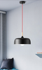 ZONIUS Pendant Light in Black (Pre-order)