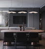 DOUCA Modern Hanging Light (Pre-order)