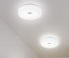 LITHONIA Double Ring LED Ceiling Light (Pre-order)