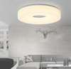 LITHONIA Double Ring LED Ceiling Light (Pre-order)