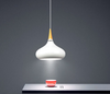 ORIUS Modern Hanging Lamp (Pre-order)