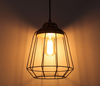 ZINCE Caged Pendant Light B