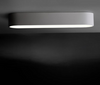 STARCK Edgy Case Ceiling Light (Pre-order)