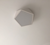 LEXA Geometric LED Ceiling Light in White (42cm) with Safety Mark LED Driver