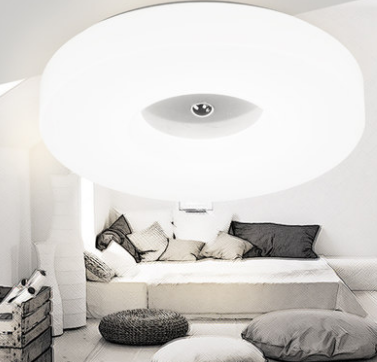 LITHONIA Double Ring LED Ceiling Light (Pre-order)